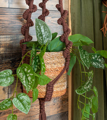 hanging basket plant holder
